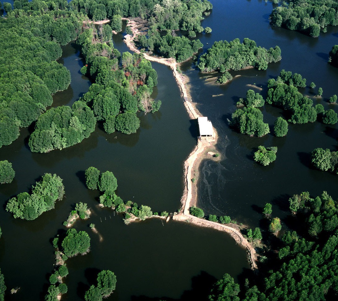 2D1N Can Gio Getaway – Immerse Yourself in the Beauty of Natural Ecology