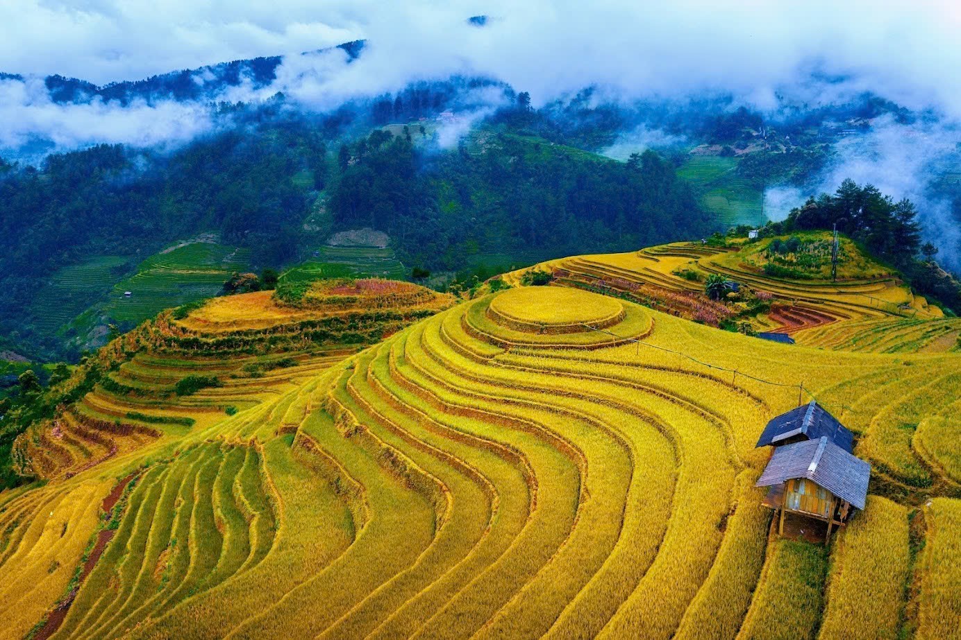 Mu Cang Chai - Sapa - Dien Bien - Moc Chau