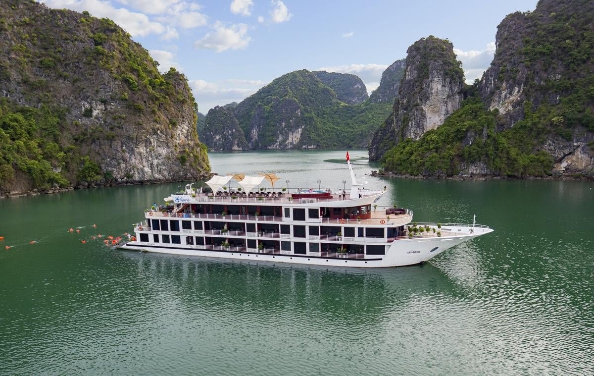 Aspira Cruises